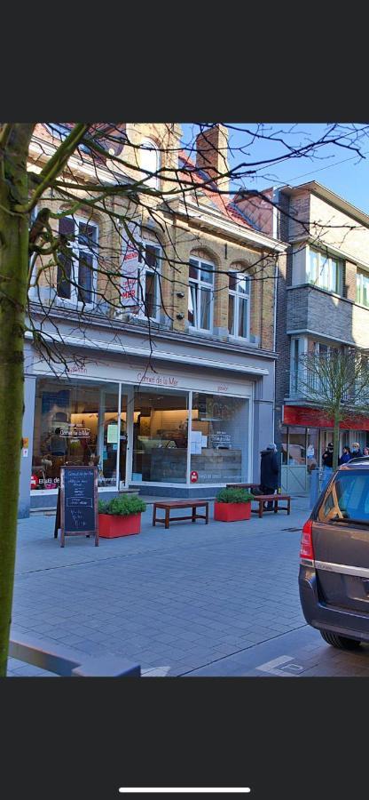 Gastenverblijf De Arend Nieuwpoort Ngoại thất bức ảnh